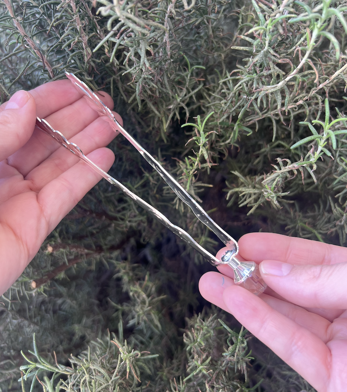 Pinzas para carbón⎮Hoja plateada